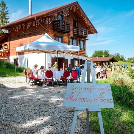 Tulean Cabin Săcel Екстериор снимка