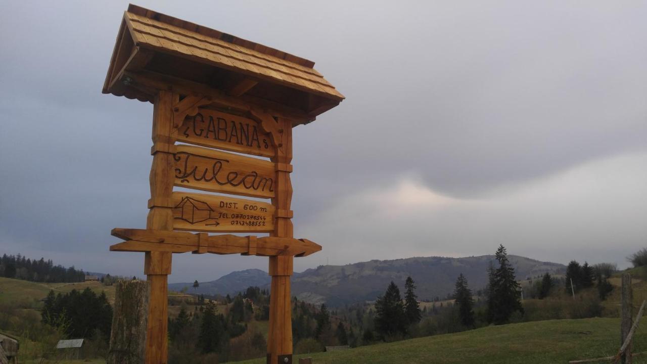 Tulean Cabin Săcel Екстериор снимка