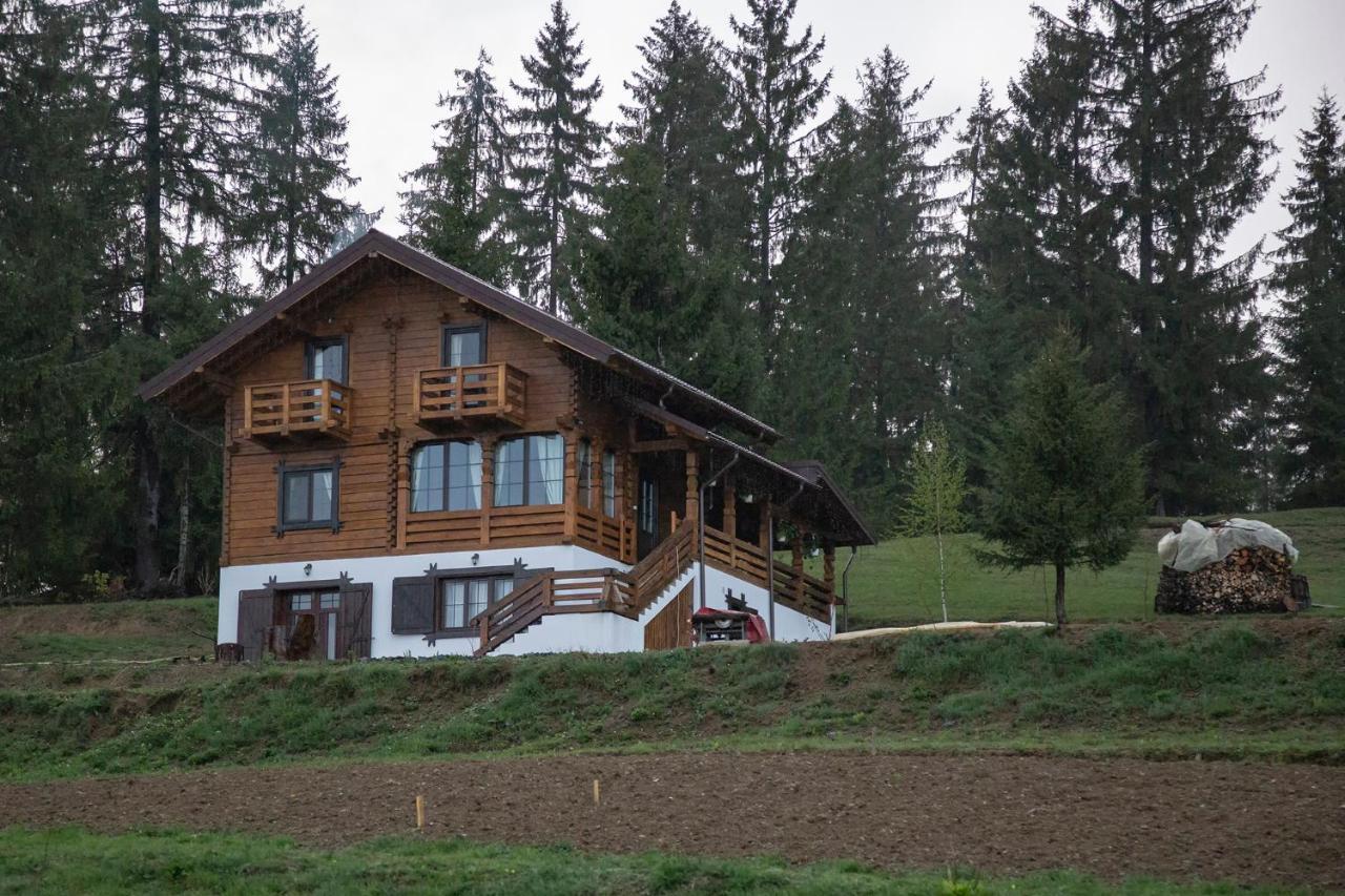 Tulean Cabin Săcel Екстериор снимка