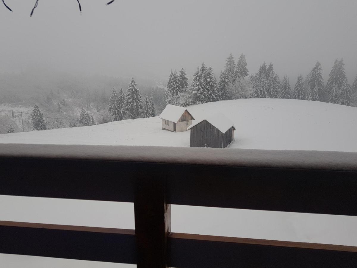 Tulean Cabin Săcel Екстериор снимка