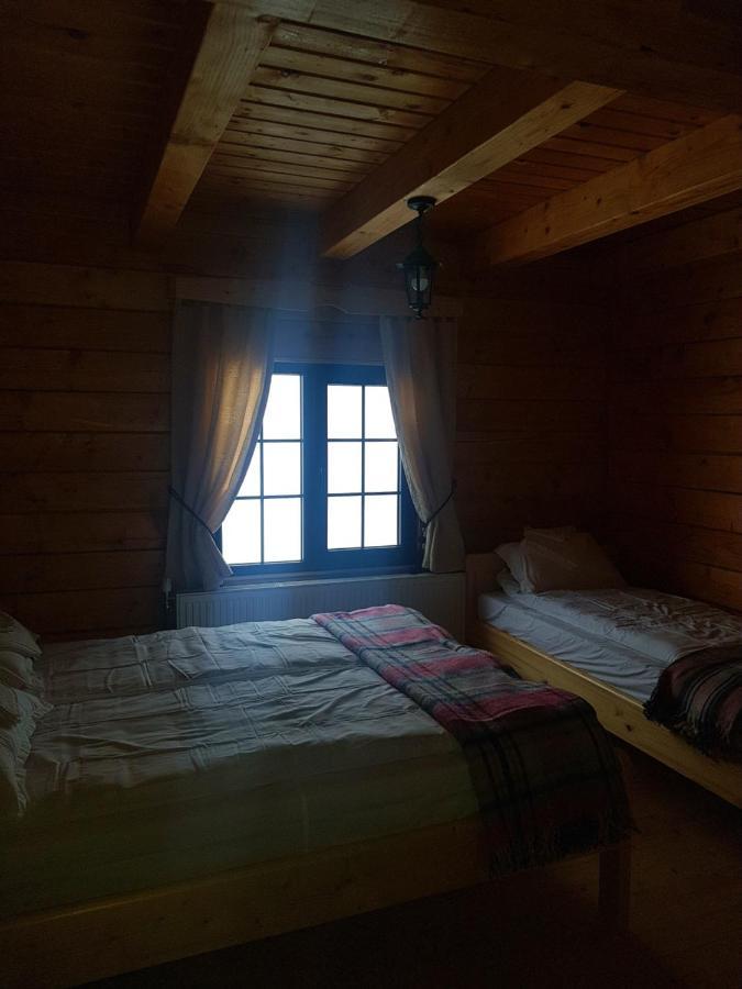 Tulean Cabin Săcel Екстериор снимка
