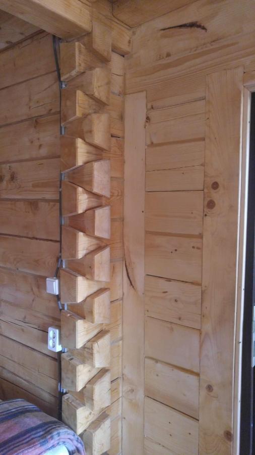 Tulean Cabin Săcel Екстериор снимка