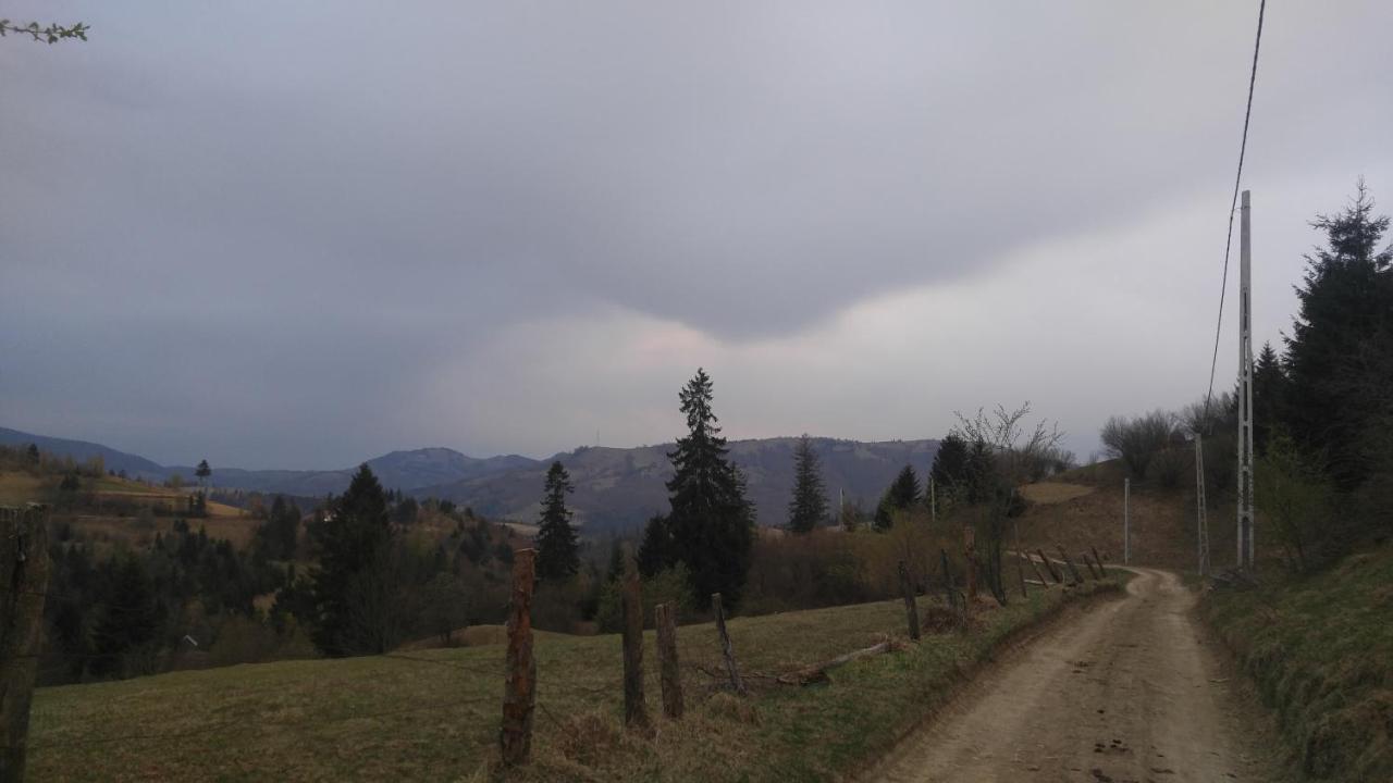 Tulean Cabin Săcel Екстериор снимка
