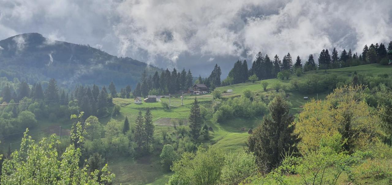 Tulean Cabin Săcel Екстериор снимка
