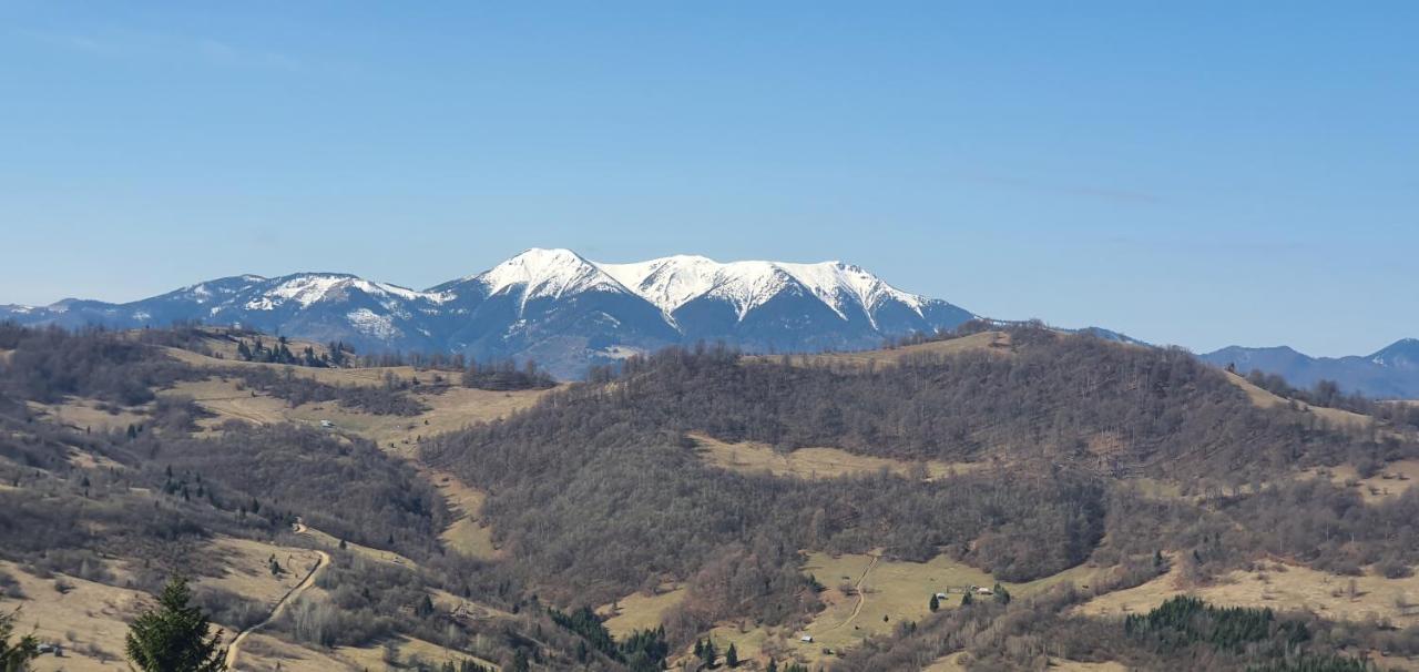 Tulean Cabin Săcel Екстериор снимка