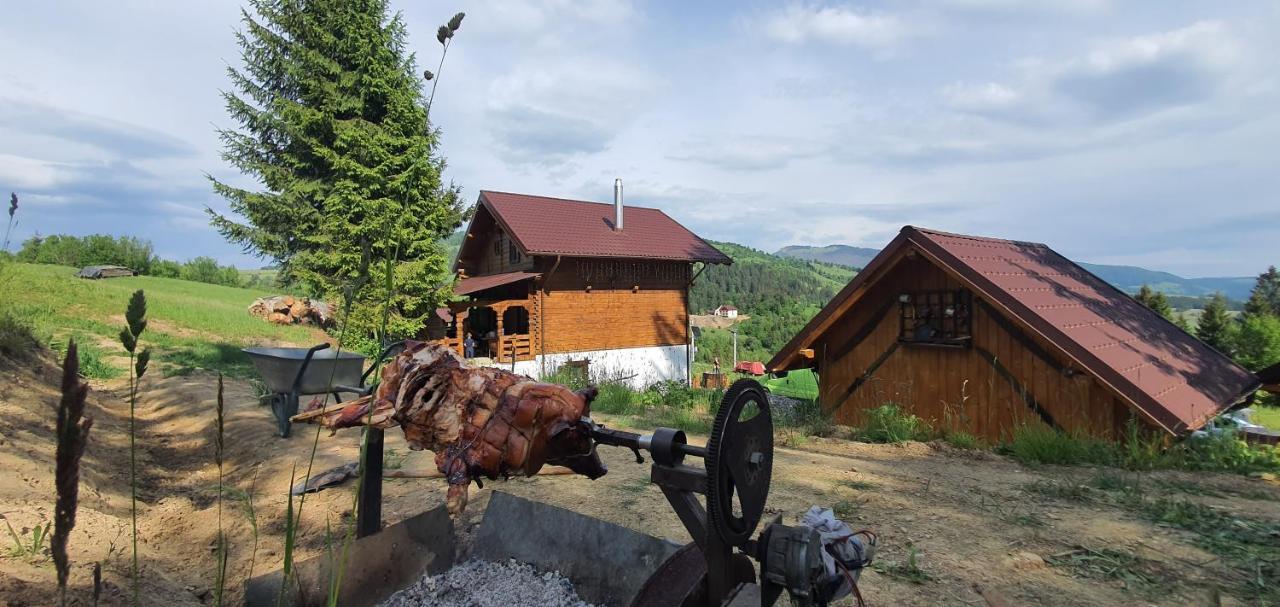 Tulean Cabin Săcel Екстериор снимка